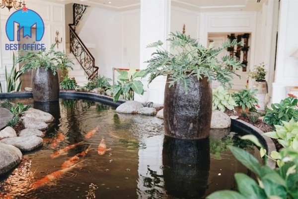 CAO ỐC KOVA CENTER