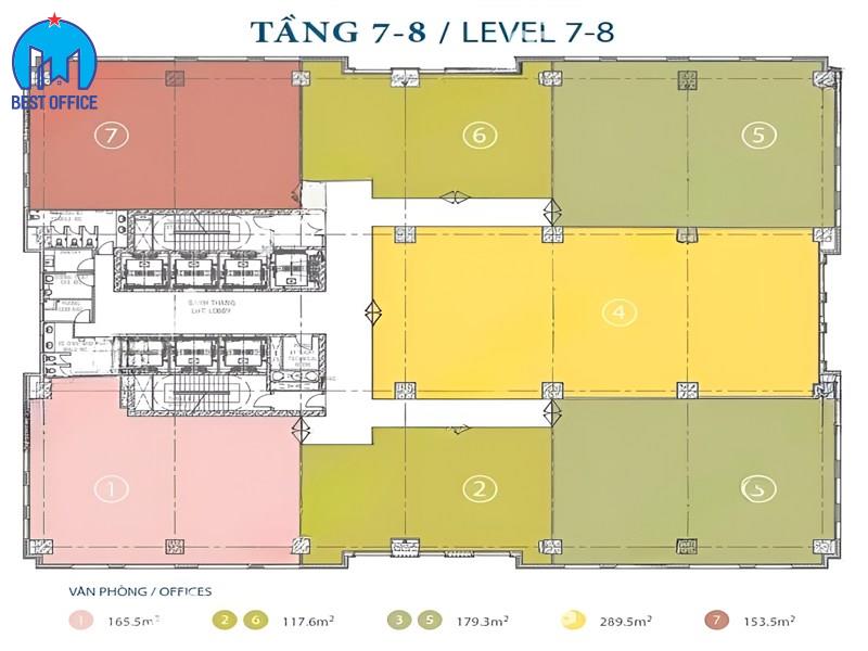 CAO ỐC GOLDEN KING
