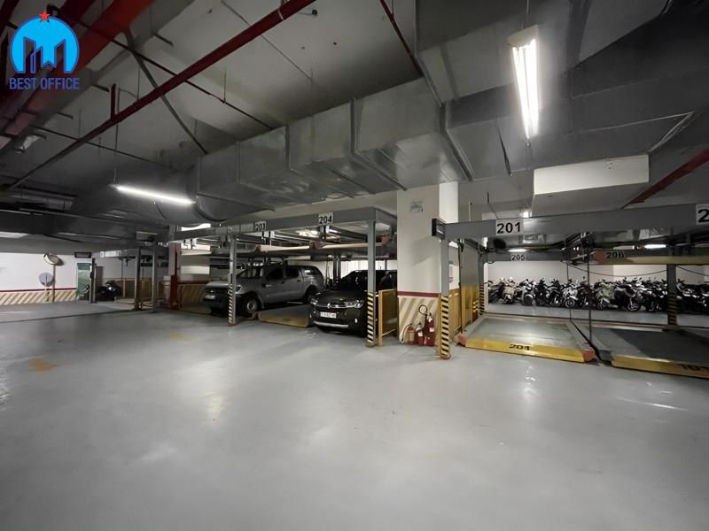 CAO ỐC GOLDEN KING