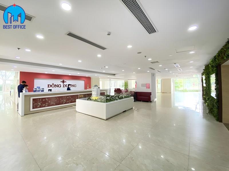 CAO ỐC GOLDEN KING