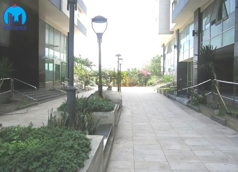 CAO ỐC ĐẤT PHƯƠNG NAM