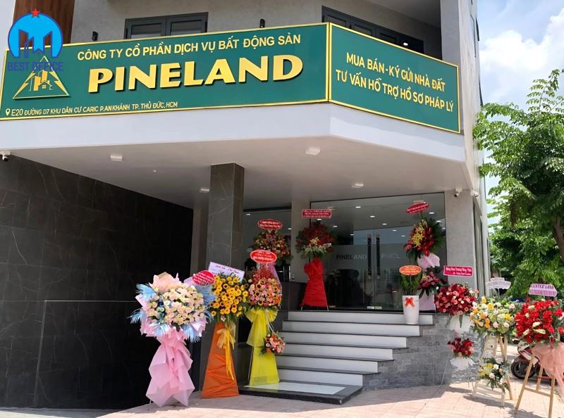 CAO ỐC PINELAND