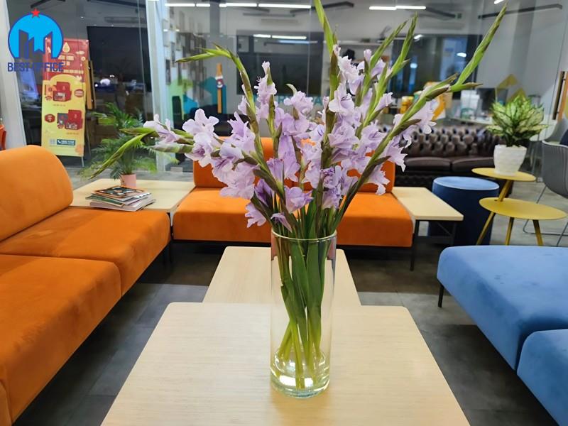 CAO ỐC MICROSPACE CAO ỐC MICROSPACE