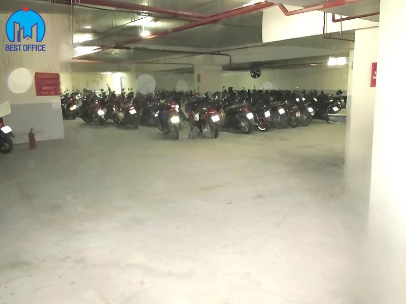 CAO ỐC MORNING STAR