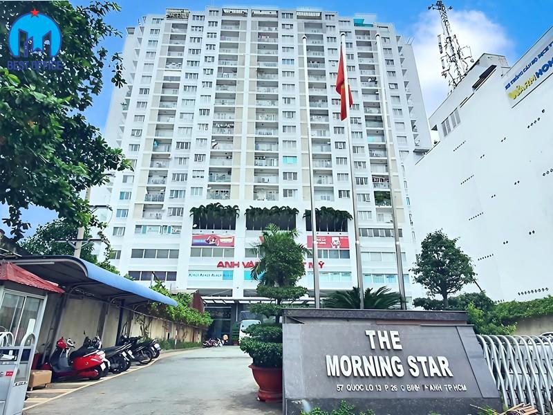 CAO ỐC MORNING STAR