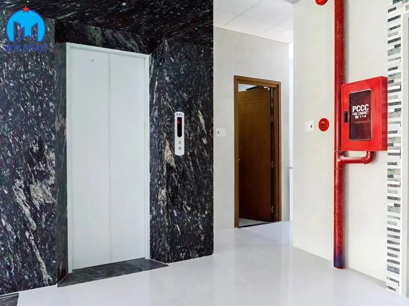 CAO ỐC VIỆT DATA