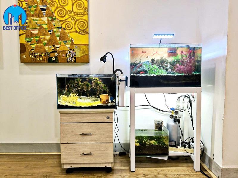 CAO ỐC SÀI GÒN HOME