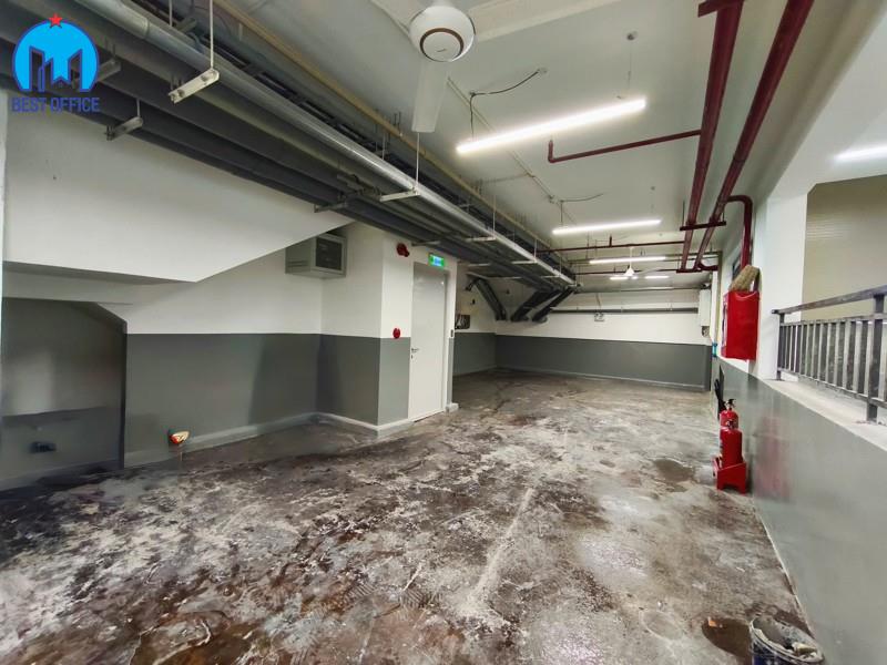 CAO ỐC THE BOSSTON