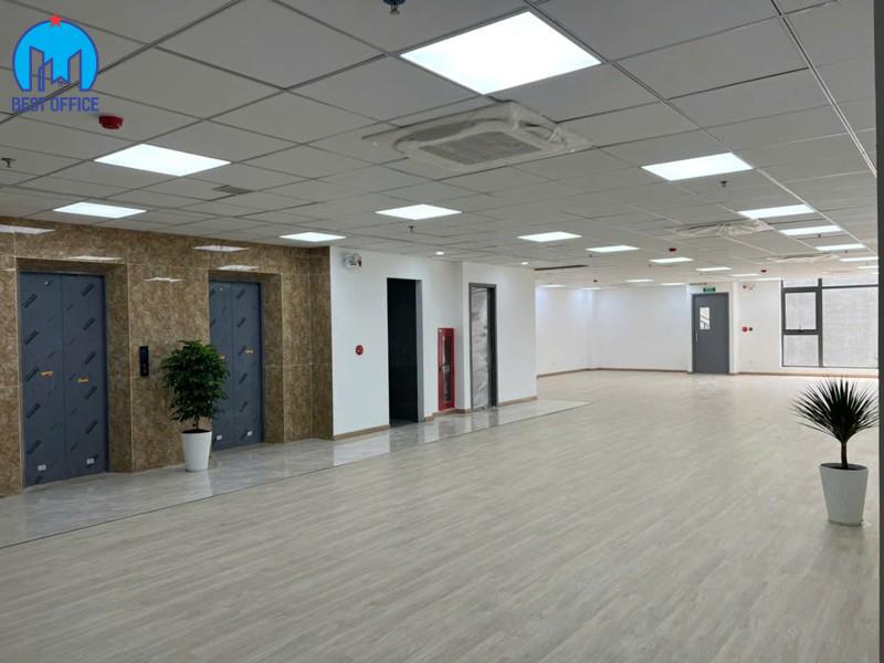 CAO ỐC ANT OFFICE