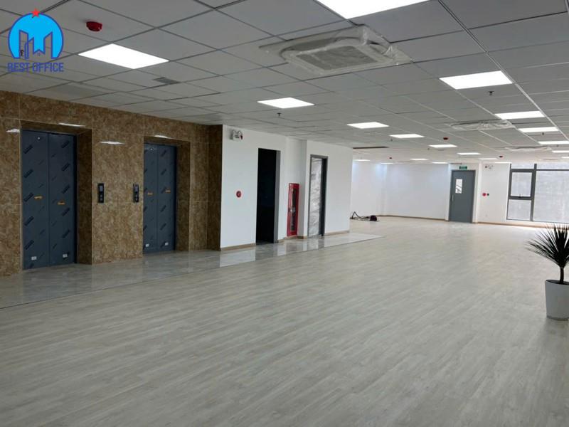 CAO ỐC ANT OFFICE