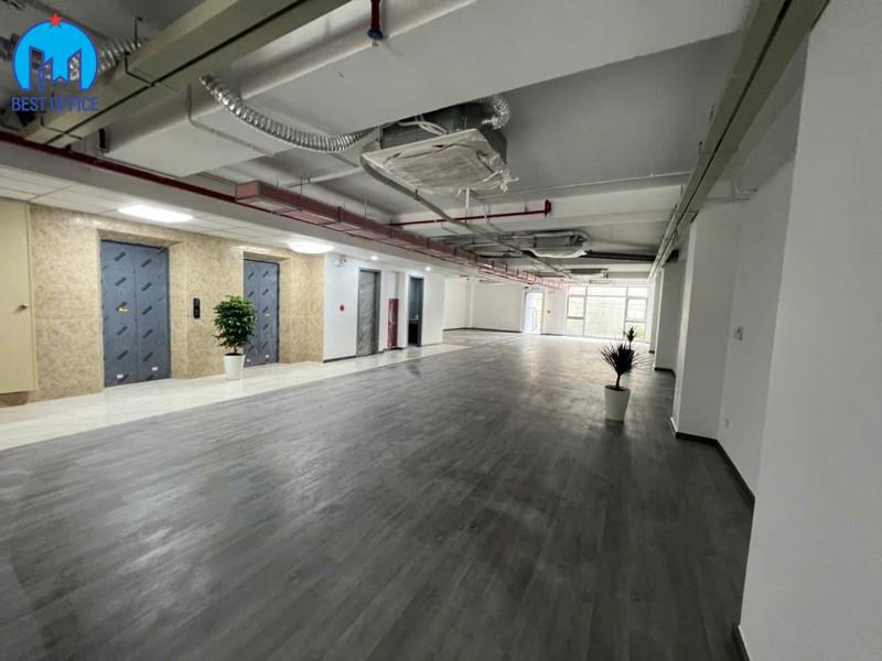 CAO ỐC ANT OFFICE